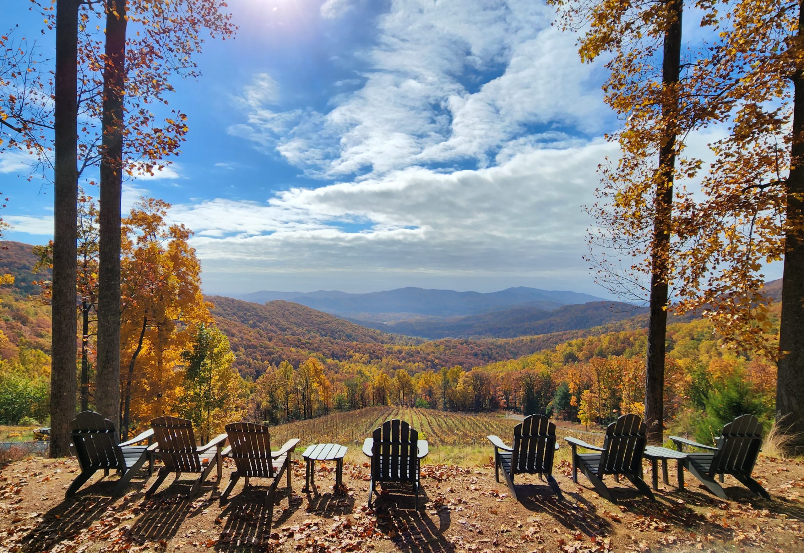 Ankida Ridge Vineyards photo