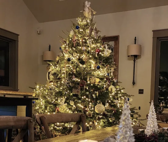 Annual Holiday Celebration